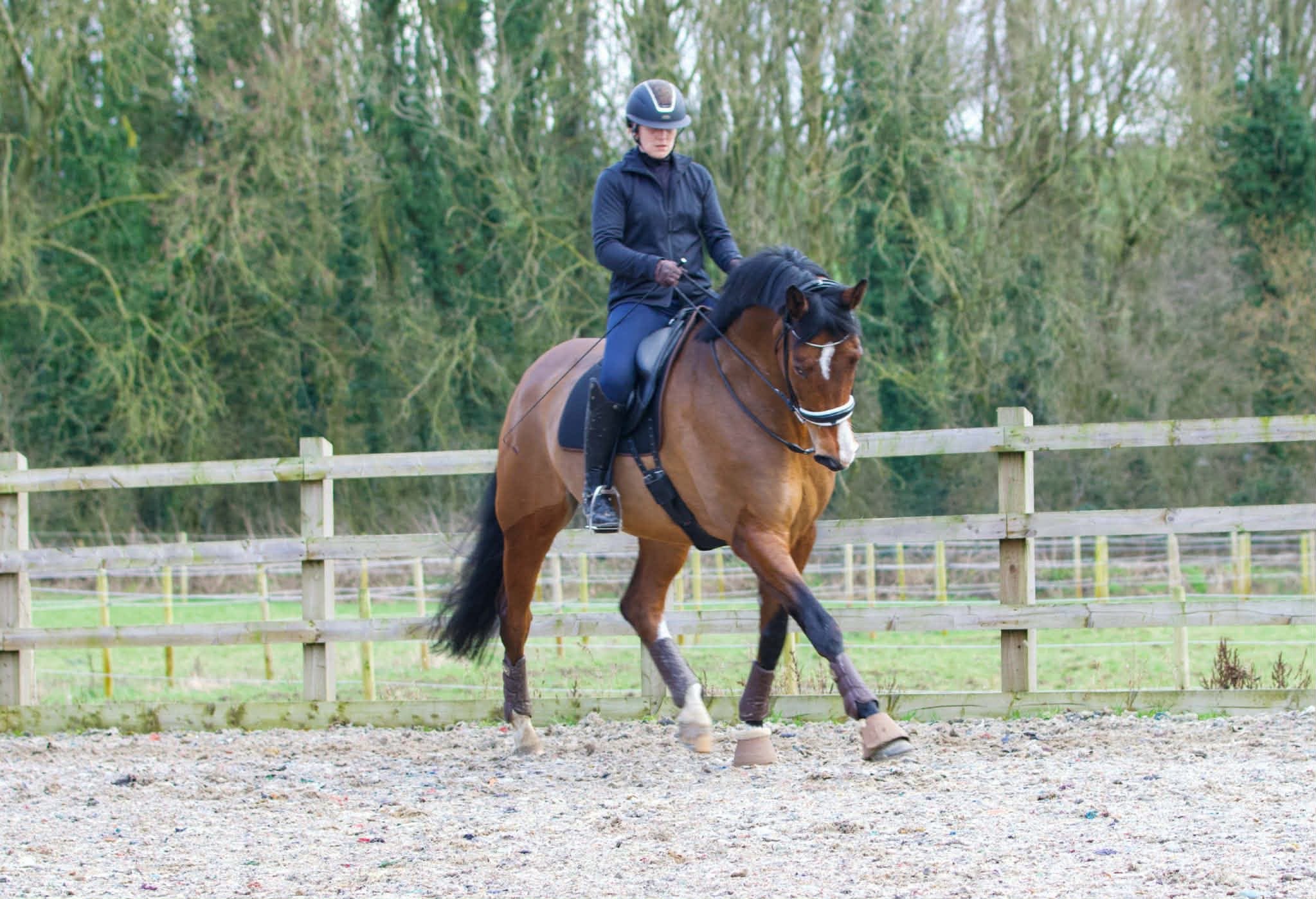 Zara Flinders riding a bay horse in an outdoor arena.