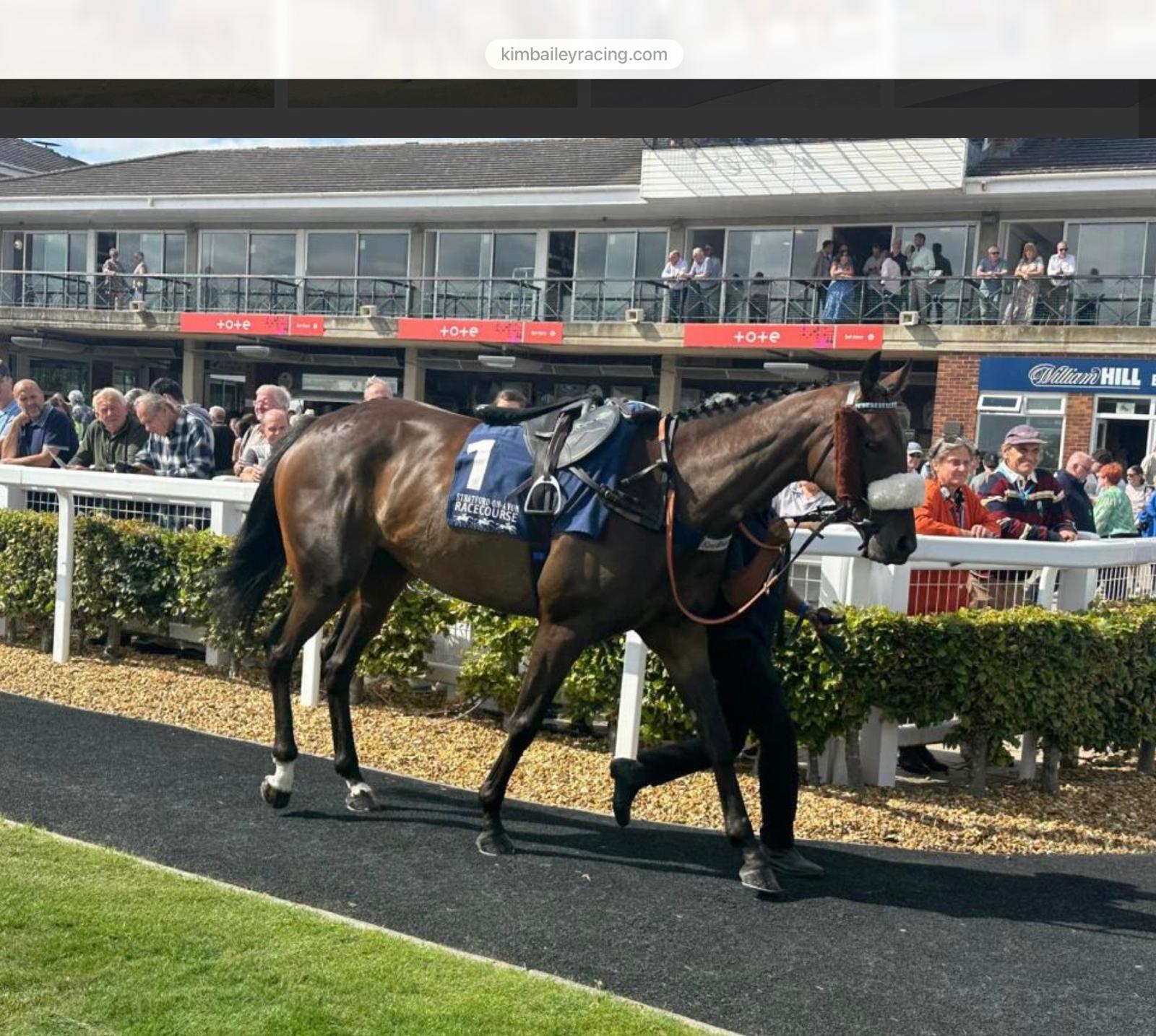 Fearie Cutlass at the races